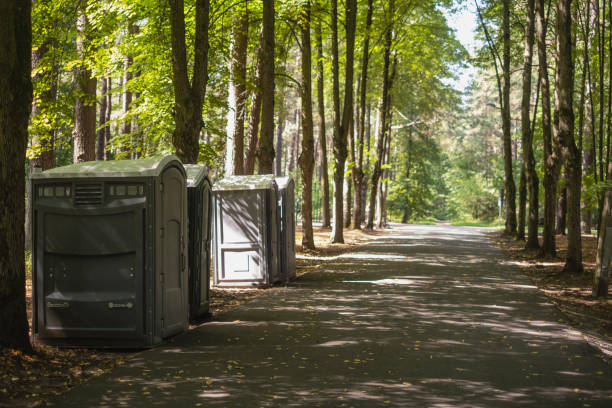 Best Luxury portable toilet rental  in Springfield, MN
