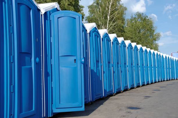 Best Wedding porta potty rental  in Springfield, MN